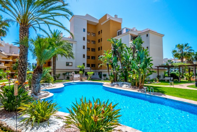 Apartamento / piso - Segunda mano - Punta Prima -
                Costa Blanca