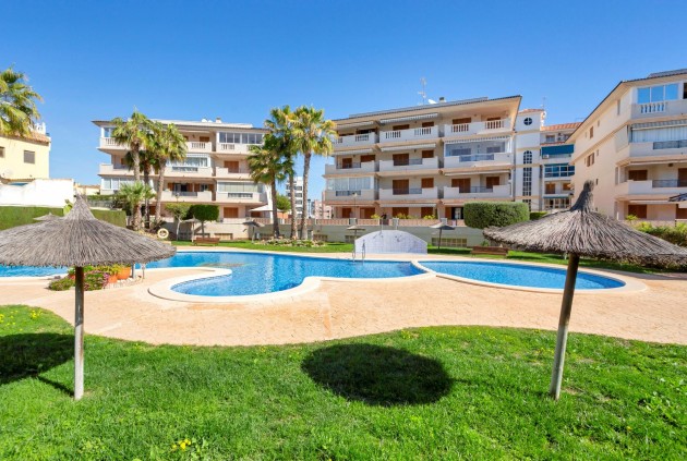 Apartamento / piso - Segunda mano - Torrevieja -
                La Mata