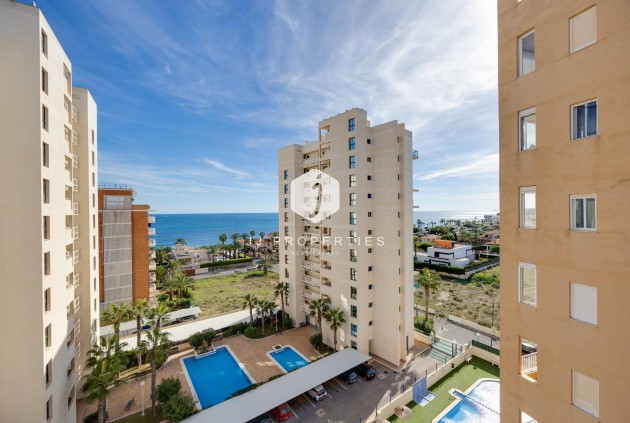 Apartamento / piso - Segunda mano - Torrevieja -
                La veleta
