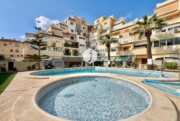 Apartamento / piso - Segunda mano - Torrevieja -
                Nueva Torrevieja