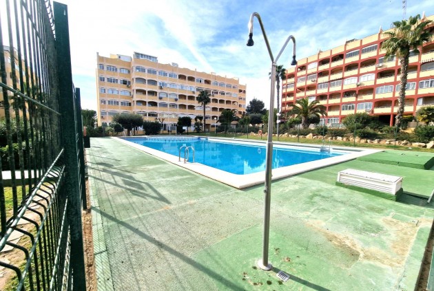 Apartamento / piso - Segunda mano - Torrevieja -
                Torreblanca