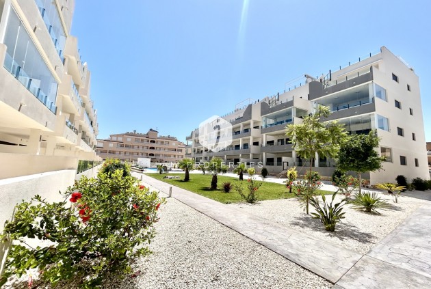 Apartment / flat - Resale - Los Dolses -
                Inland