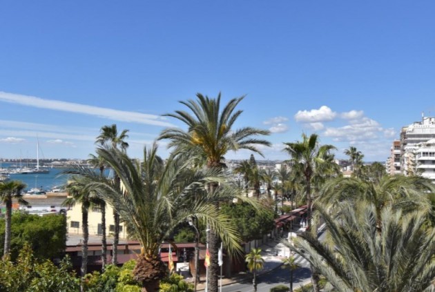 Apartment / flat - Resale - Torrevieja -
                Costa Blanca