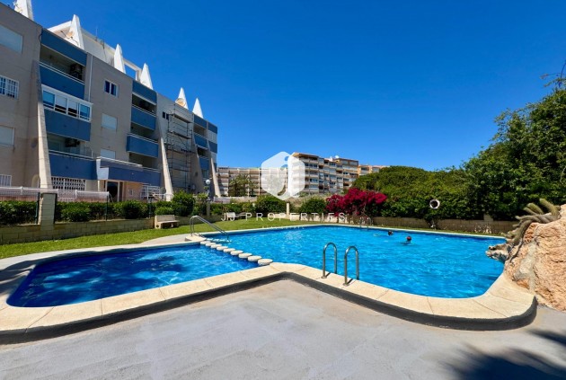 Apartment / flat - Resale - Torrevieja -
                Gaspar Perrelló