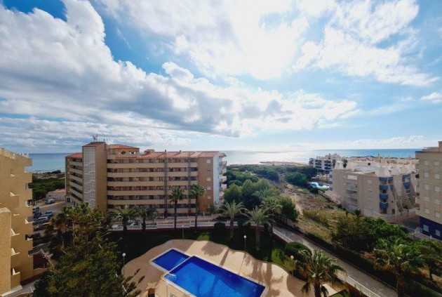 Appartement - D'occasion - La Mata -
                Costa Blanca