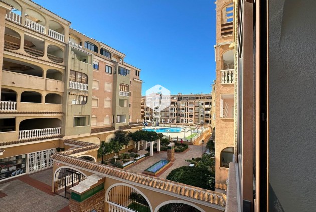 Appartement - D'occasion - Torrevieja -
                Centro