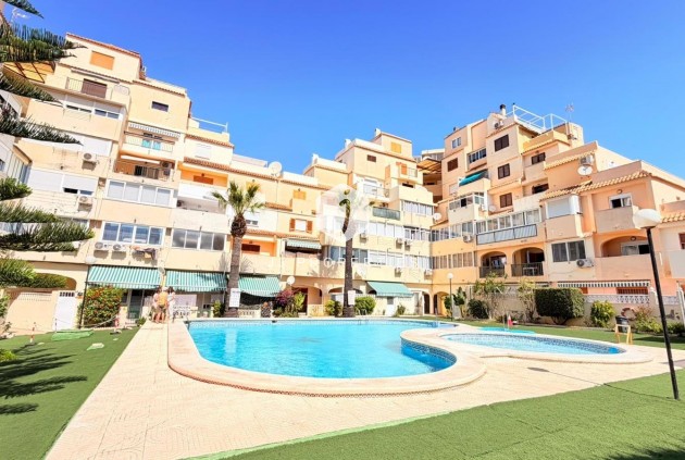 Appartement - D'occasion - Torrevieja -
                Nueva Torrevieja