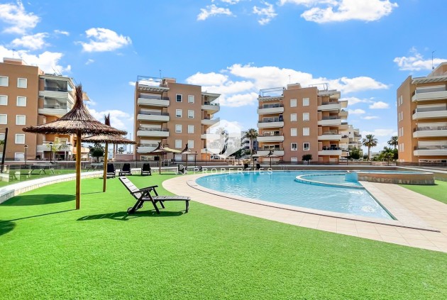 Appartement / flat - Tweedehands - Guardamar del Segura -
                Costa Blanca