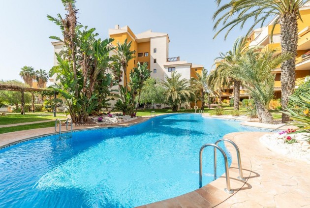 Appartement / flat - Tweedehands - Torrevieja -
                Rocio Del Mar