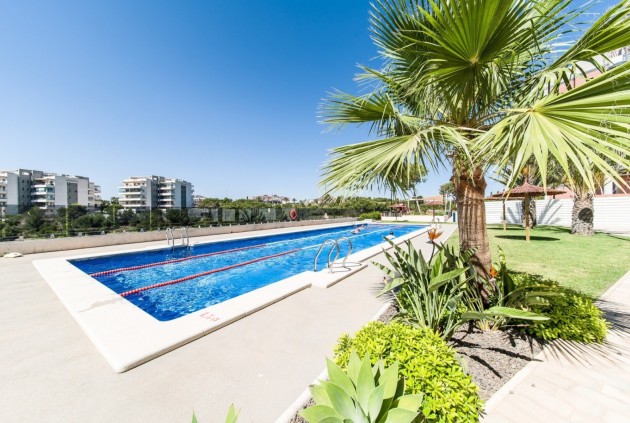 Ático - Segunda mano - Orihuela Costa -
                Costa Blanca