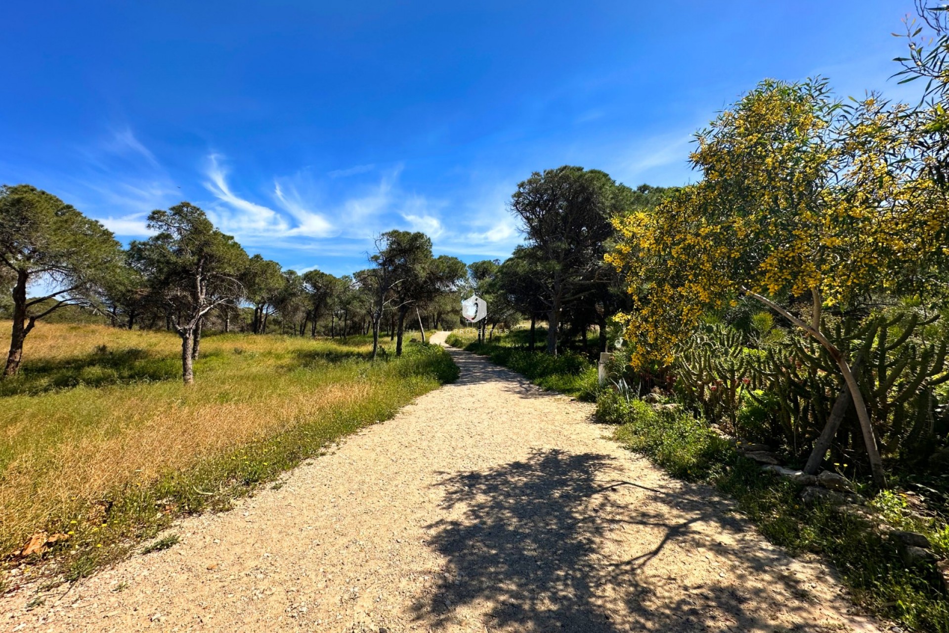 Aus zweiter Hand - Chalet -
Guardamar del Segura - Costa Blanca