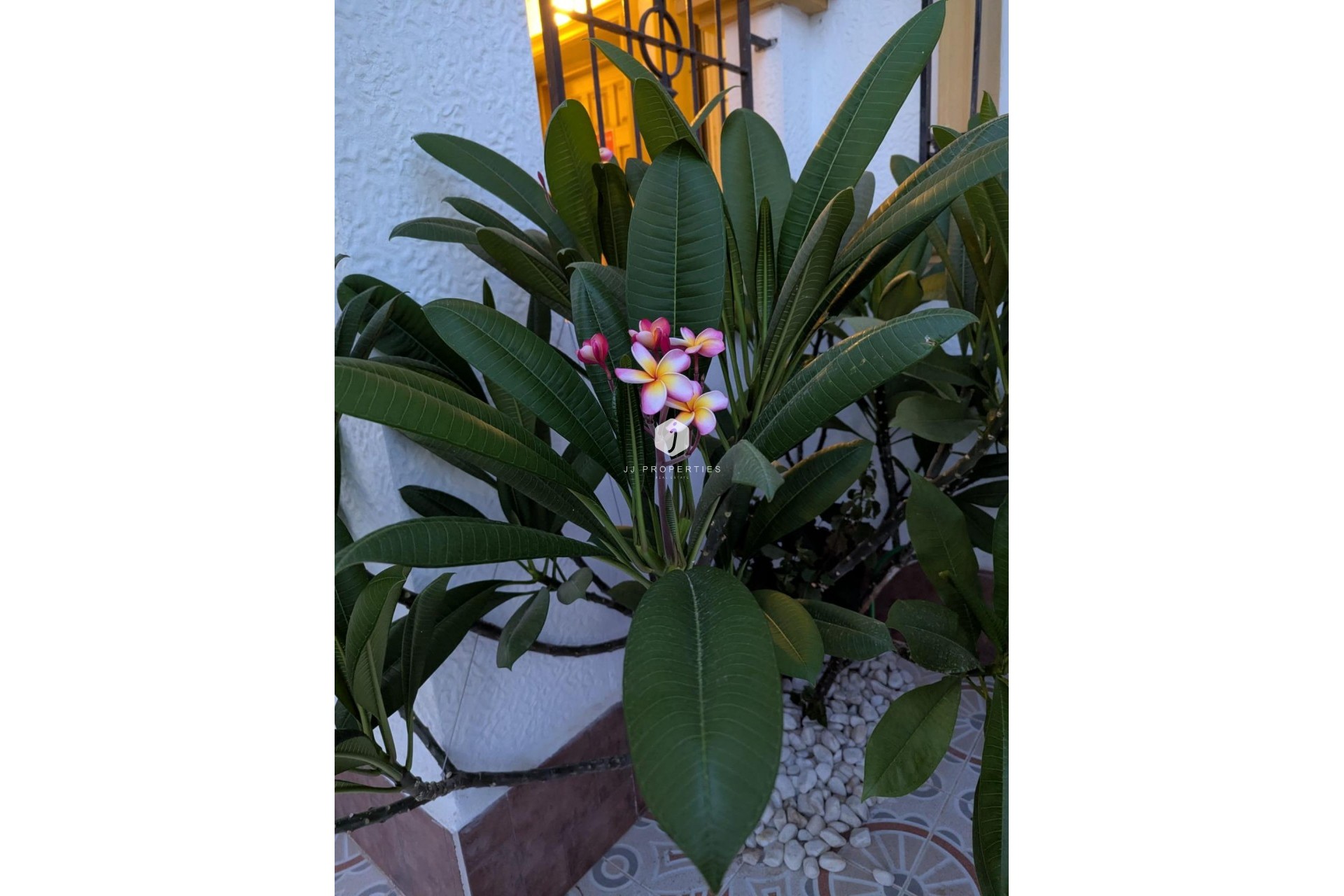 Aus zweiter Hand - Chalet -
Torrevieja - Carrefour