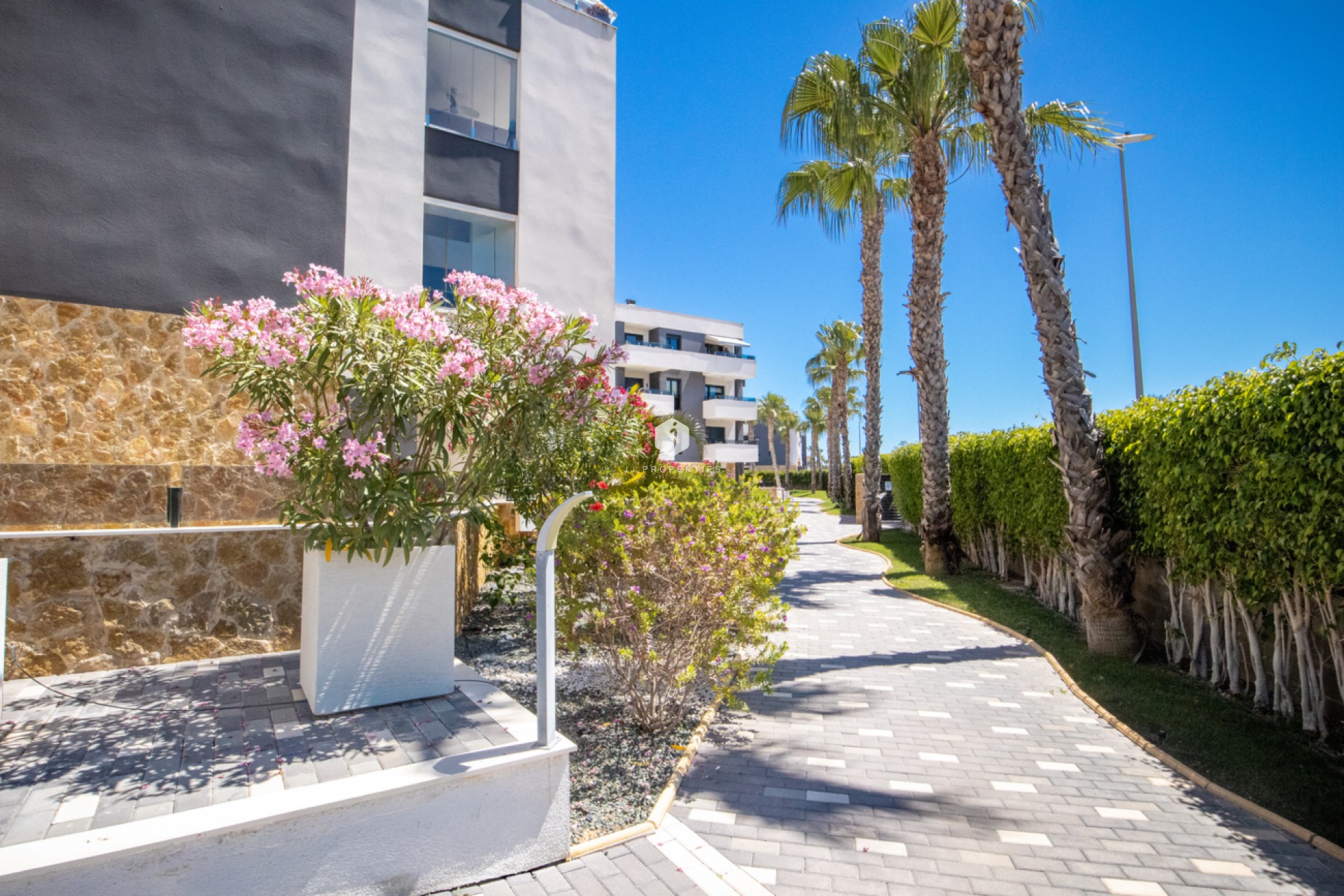 Aus zweiter Hand - Penthouse -
Los Altos - AMANECER