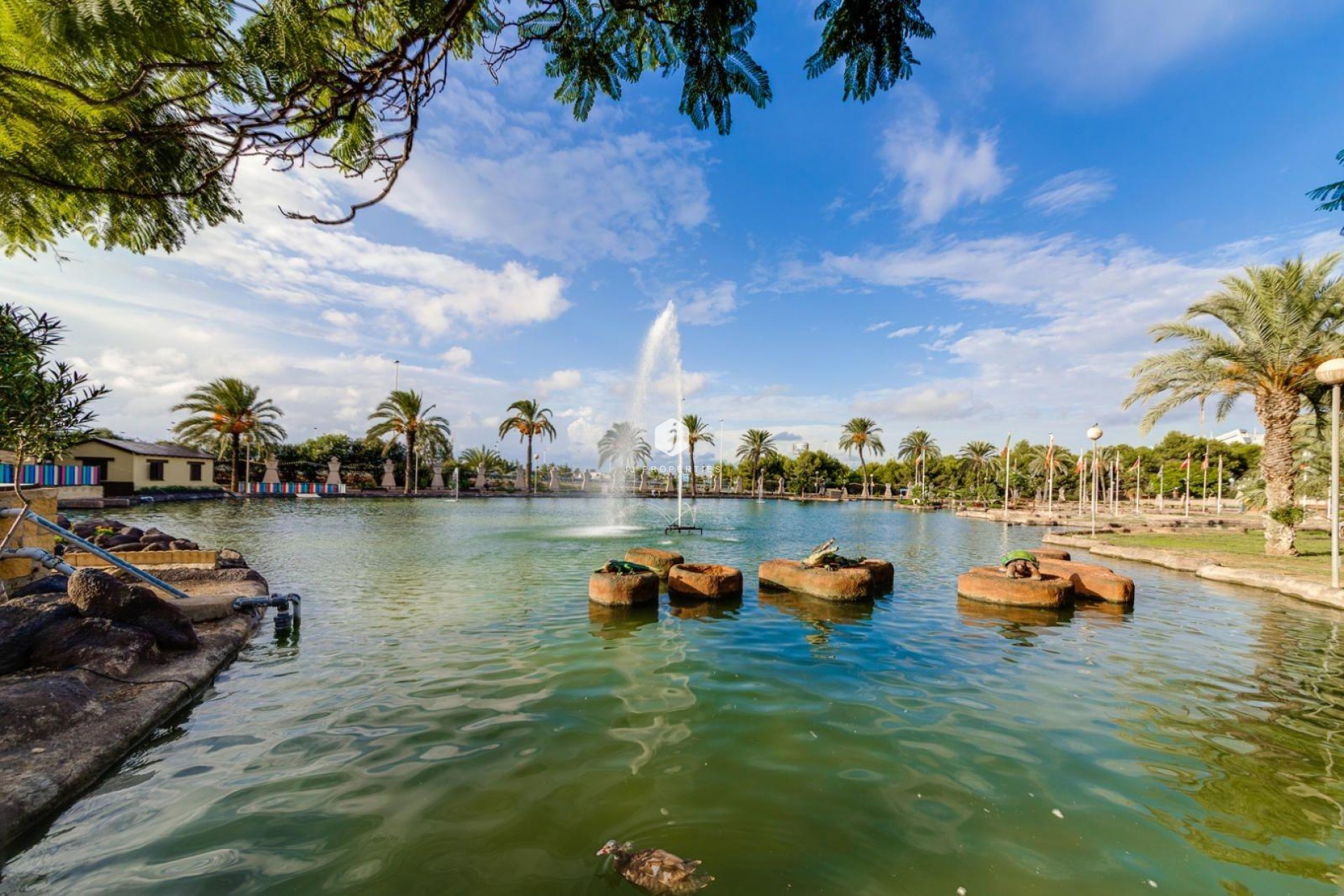 Aus zweiter Hand - Penthouse -
Torrevieja - Centro