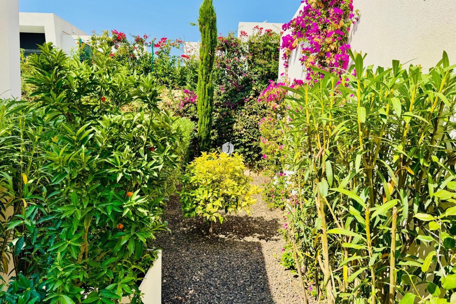 Aus zweiter Hand - Villa -
Algorfa - Club De Golf La Finca