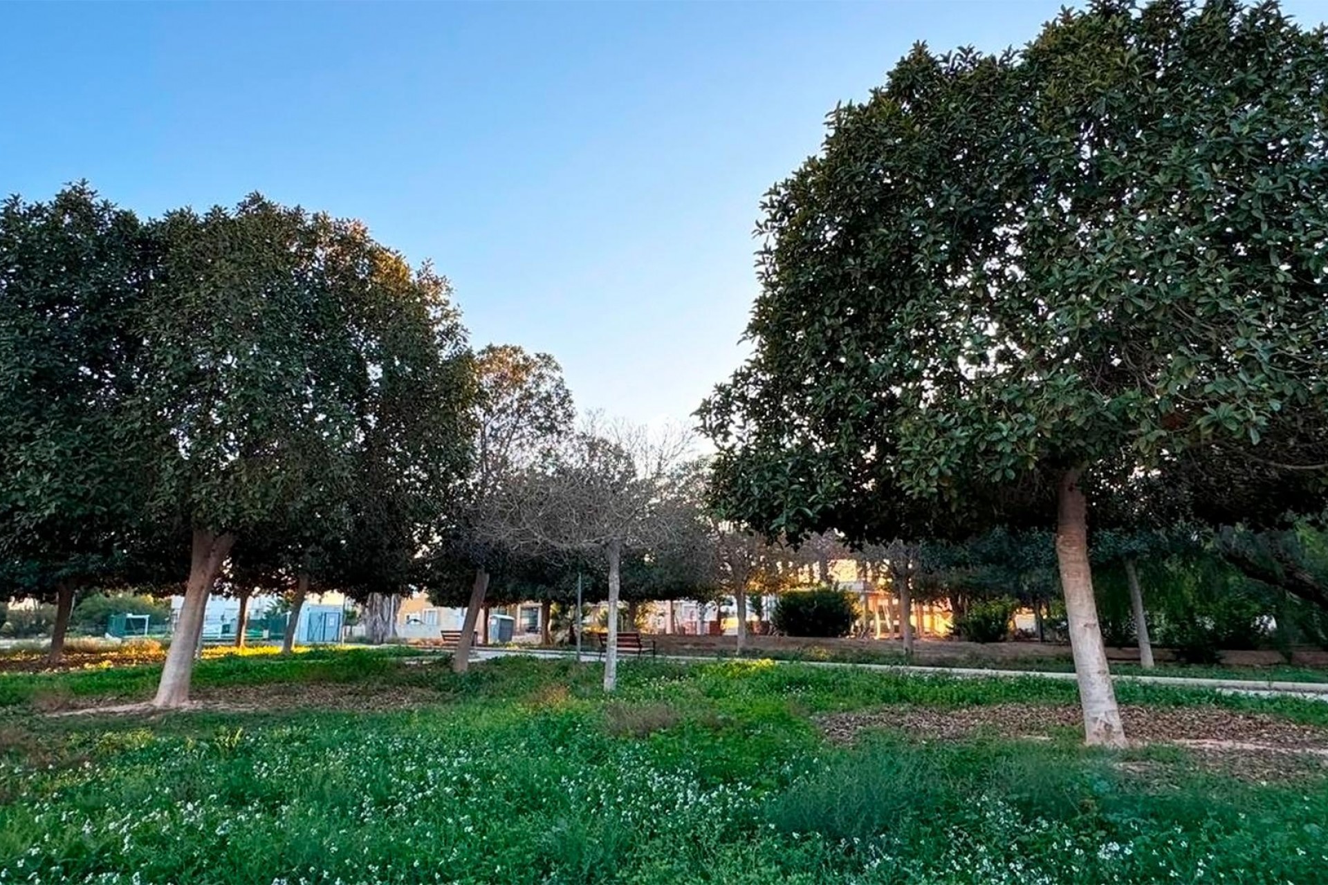 Aus zweiter Hand - Villa -
Rojales - Ciudad Quesada