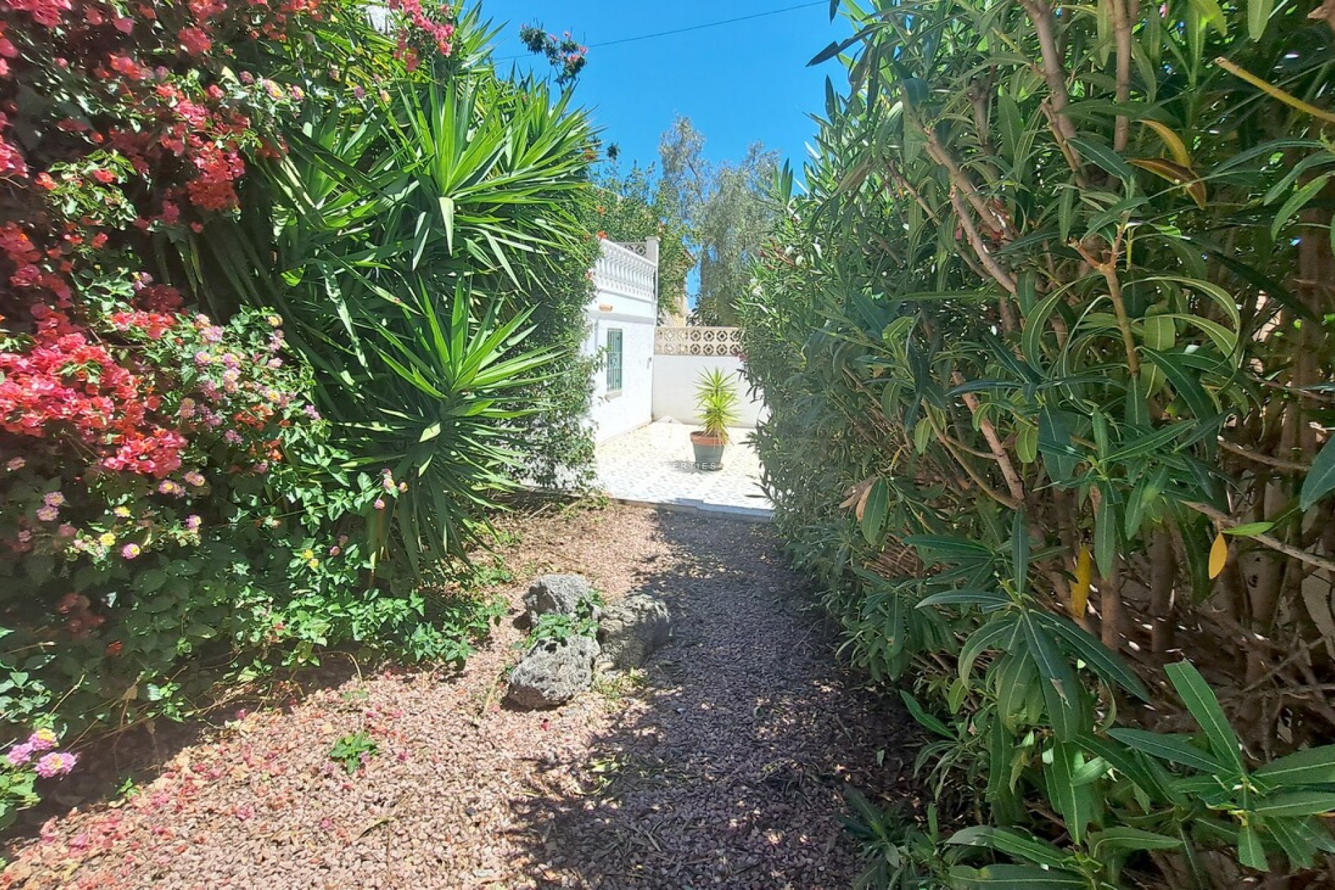 Aus zweiter Hand - Villa -
San Miguel de Salinas - Inland