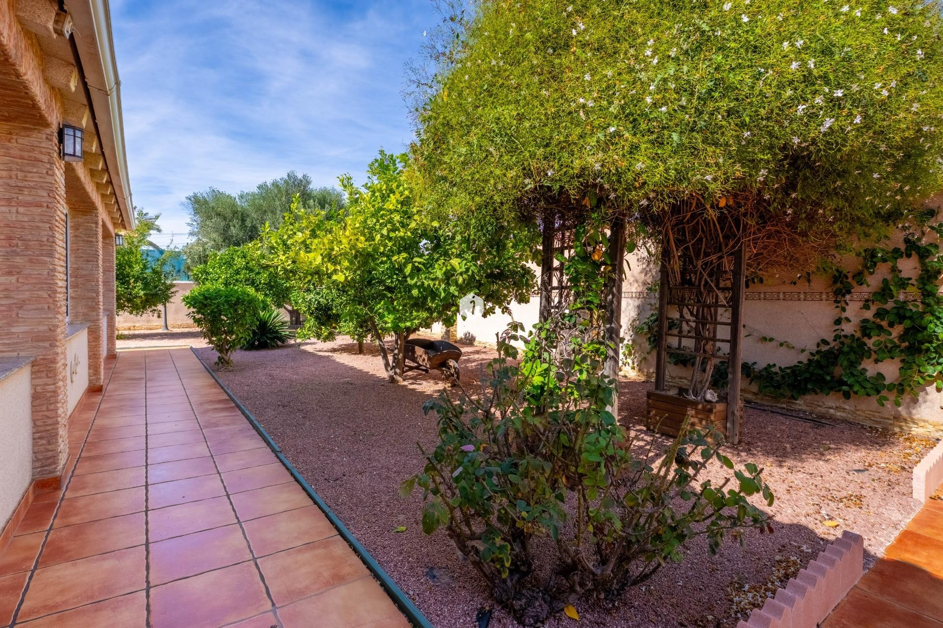 Aus zweiter Hand - Villa -
Torrevieja - El chaparral