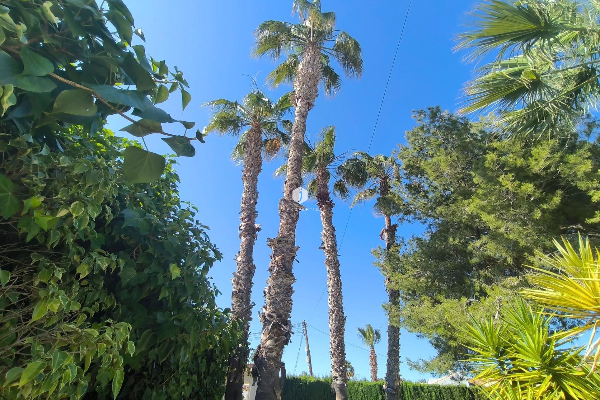 Aus zweiter Hand - Villa -
Torrevieja - La siesta