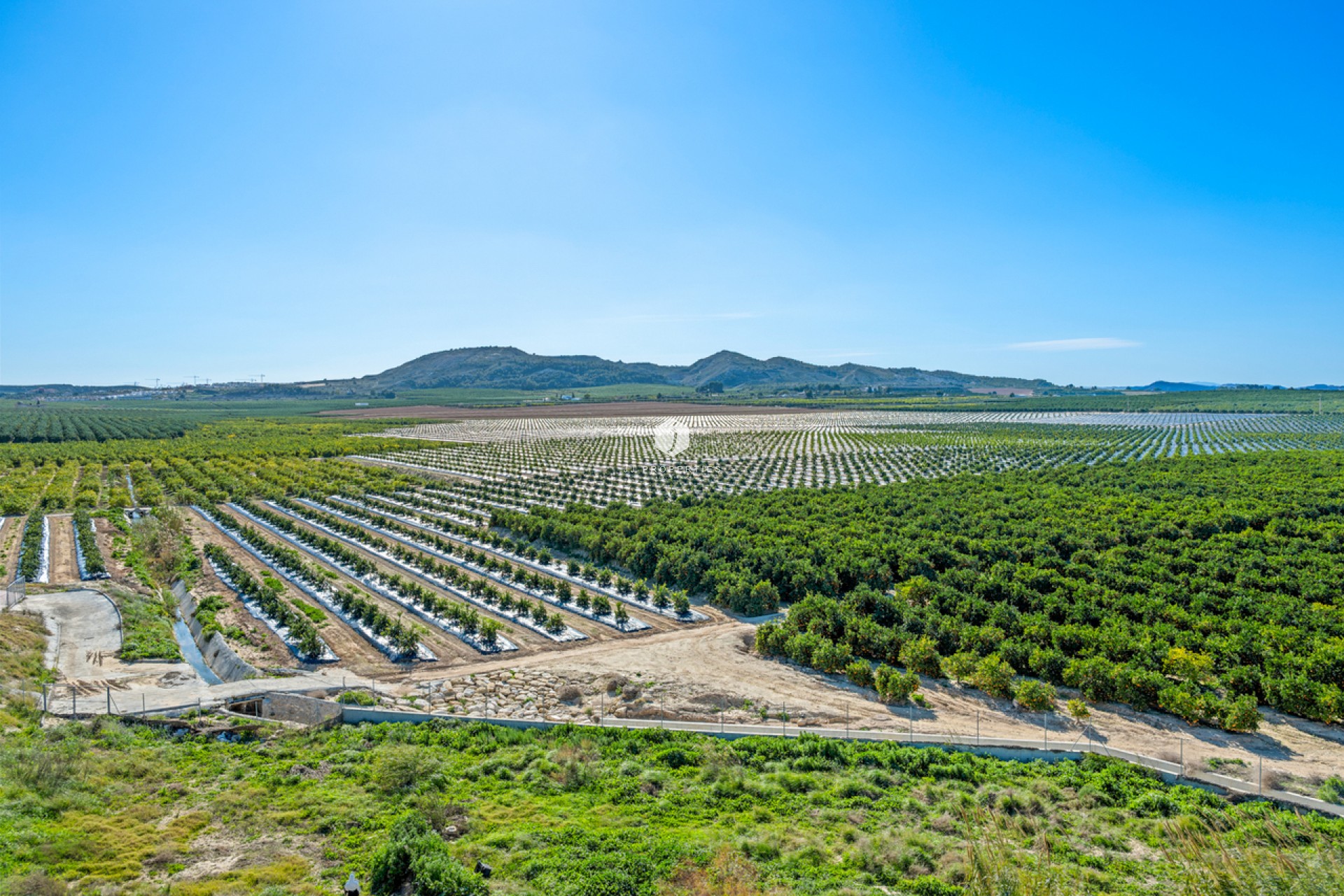 Aus zweiter Hand - Wohnung -
Algorfa - Inland