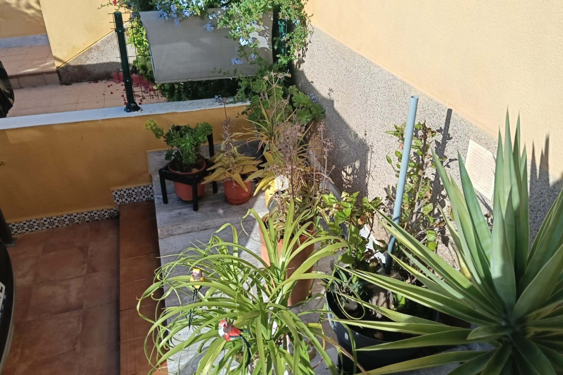 Aus zweiter Hand - Wohnung -
Los Montesinos - Costa Blanca