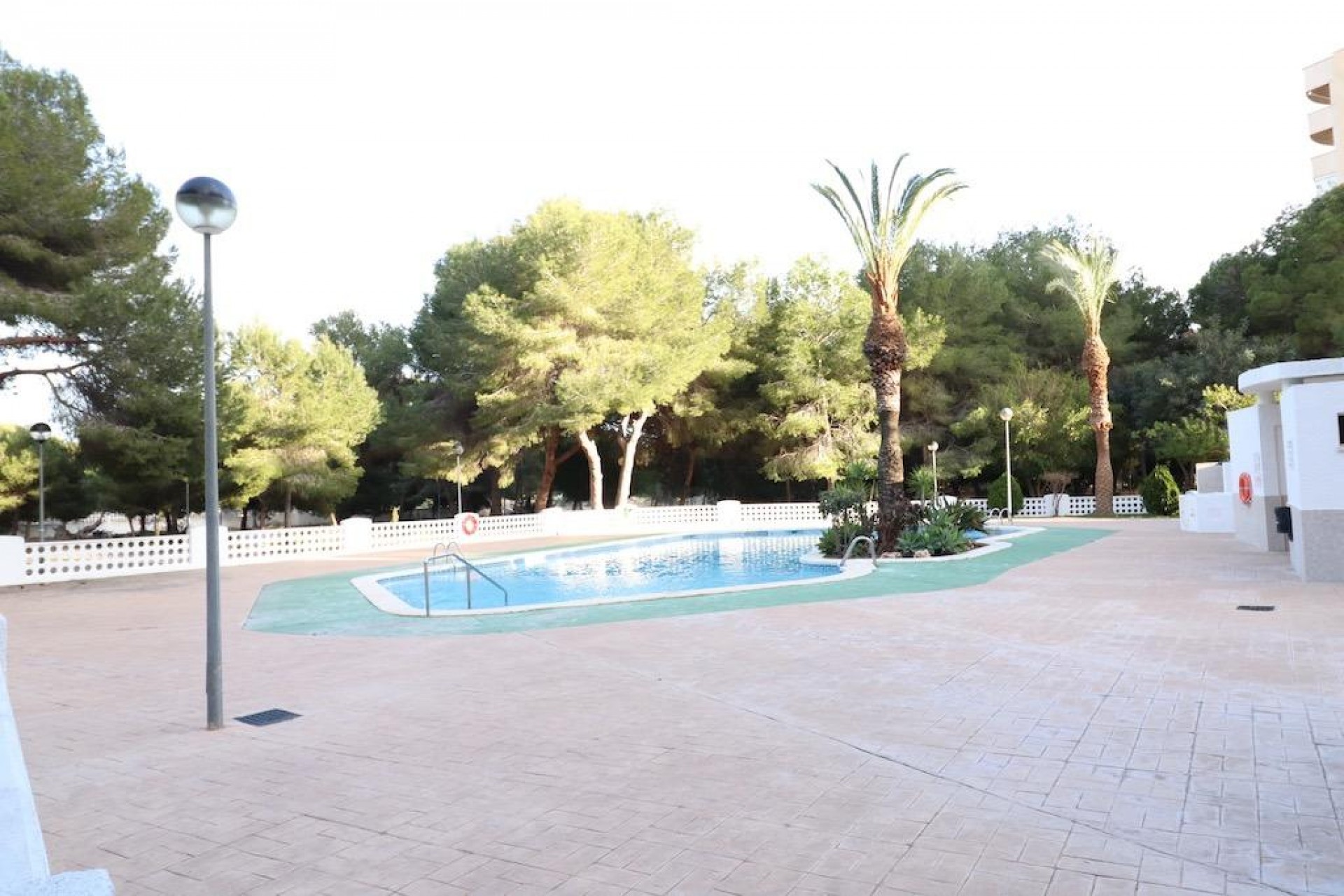 Aus zweiter Hand - Wohnung -
Orihuela Costa - Costa Blanca