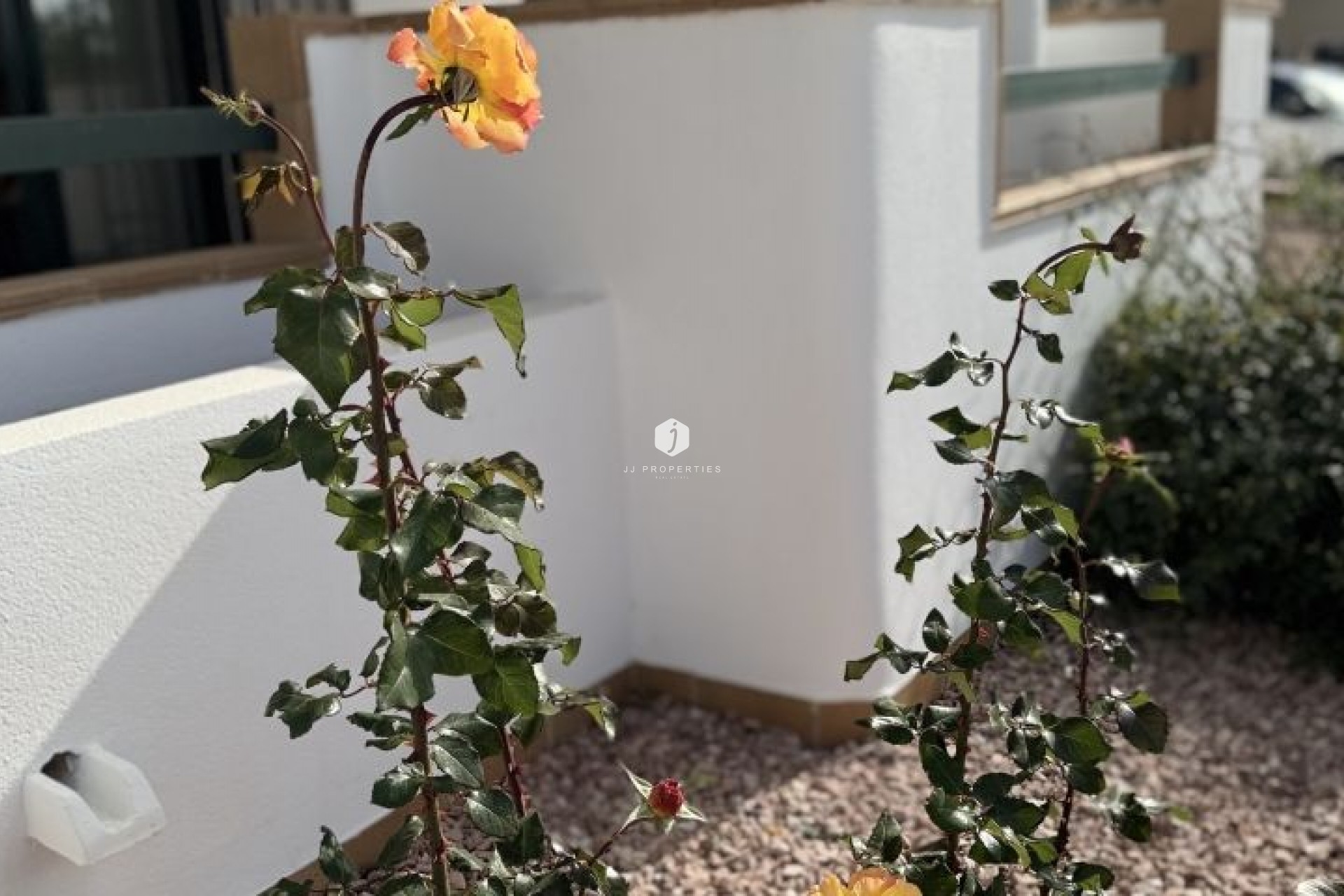 Aus zweiter Hand - Wohnung -
Orihuela Costa - Costa Blanca