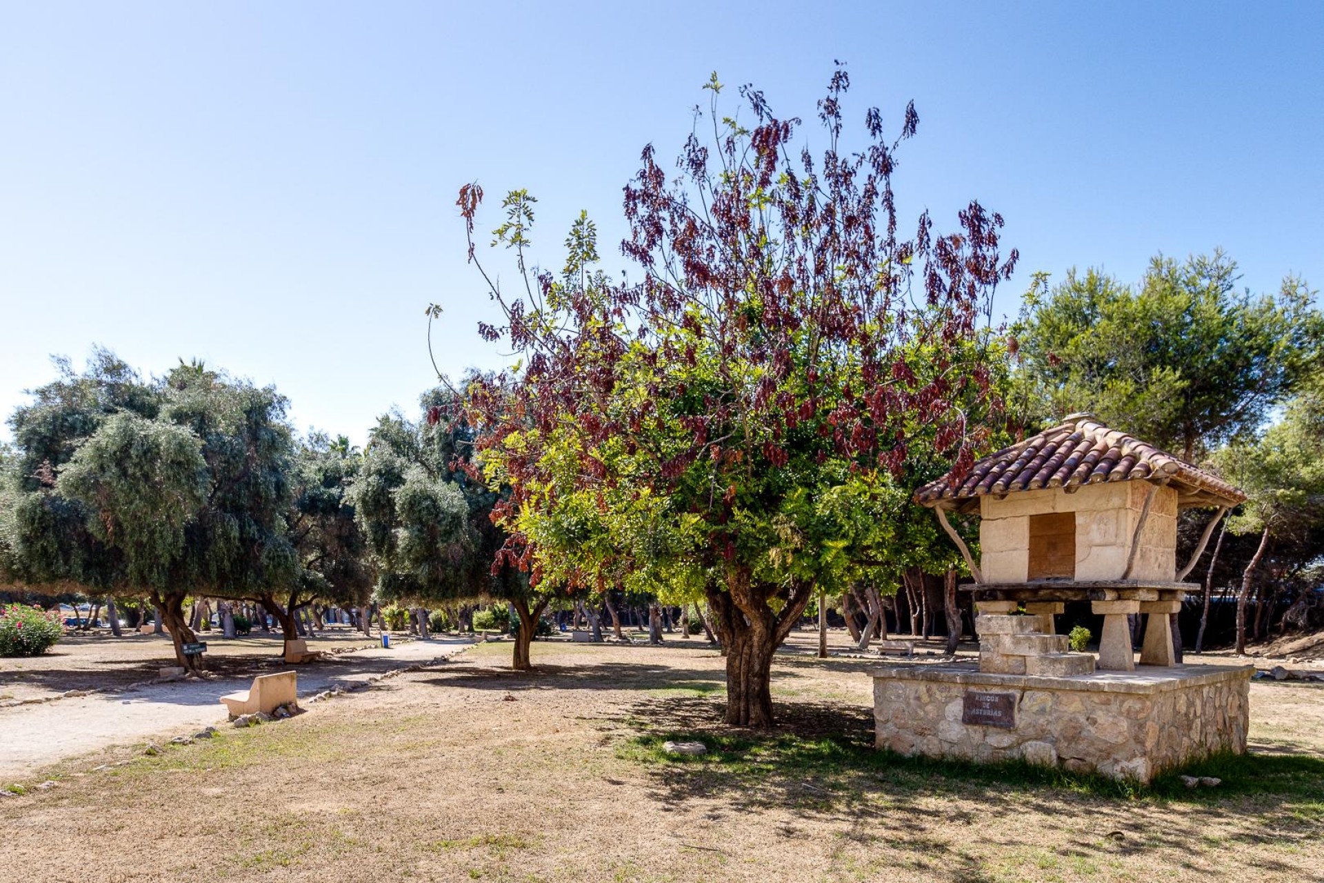 Aus zweiter Hand - Wohnung -
Torrevieja - Costa Blanca