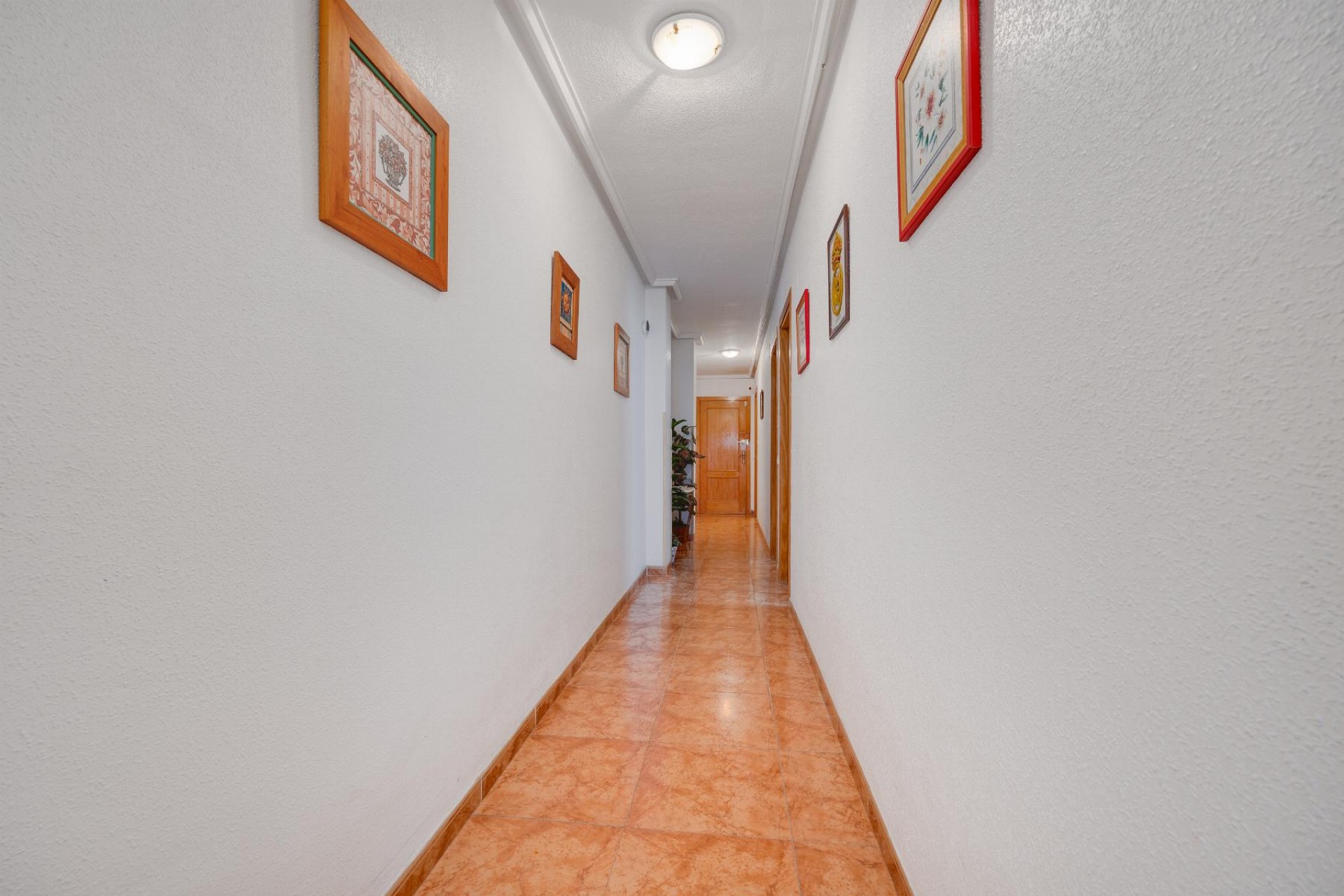 Aus zweiter Hand - Wohnung -
Torrevieja - Costa Blanca