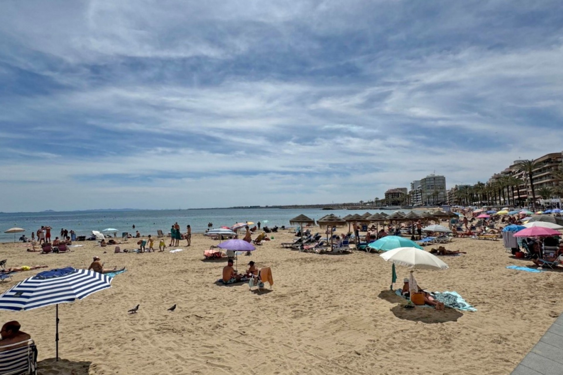 Aus zweiter Hand - Wohnung -
Torrevieja - Costa Blanca