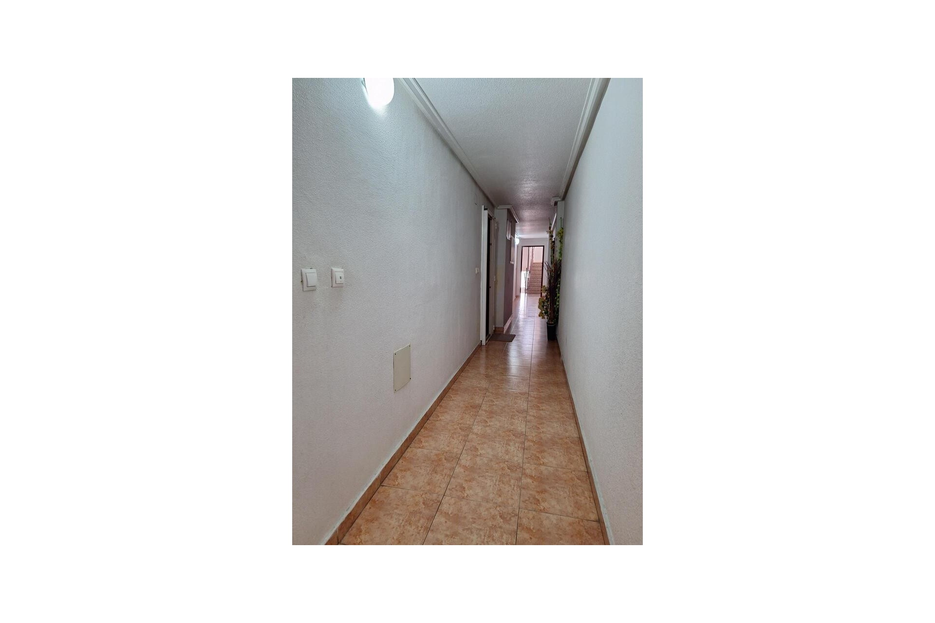 Aus zweiter Hand - Wohnung -
Torrevieja - Costa Blanca