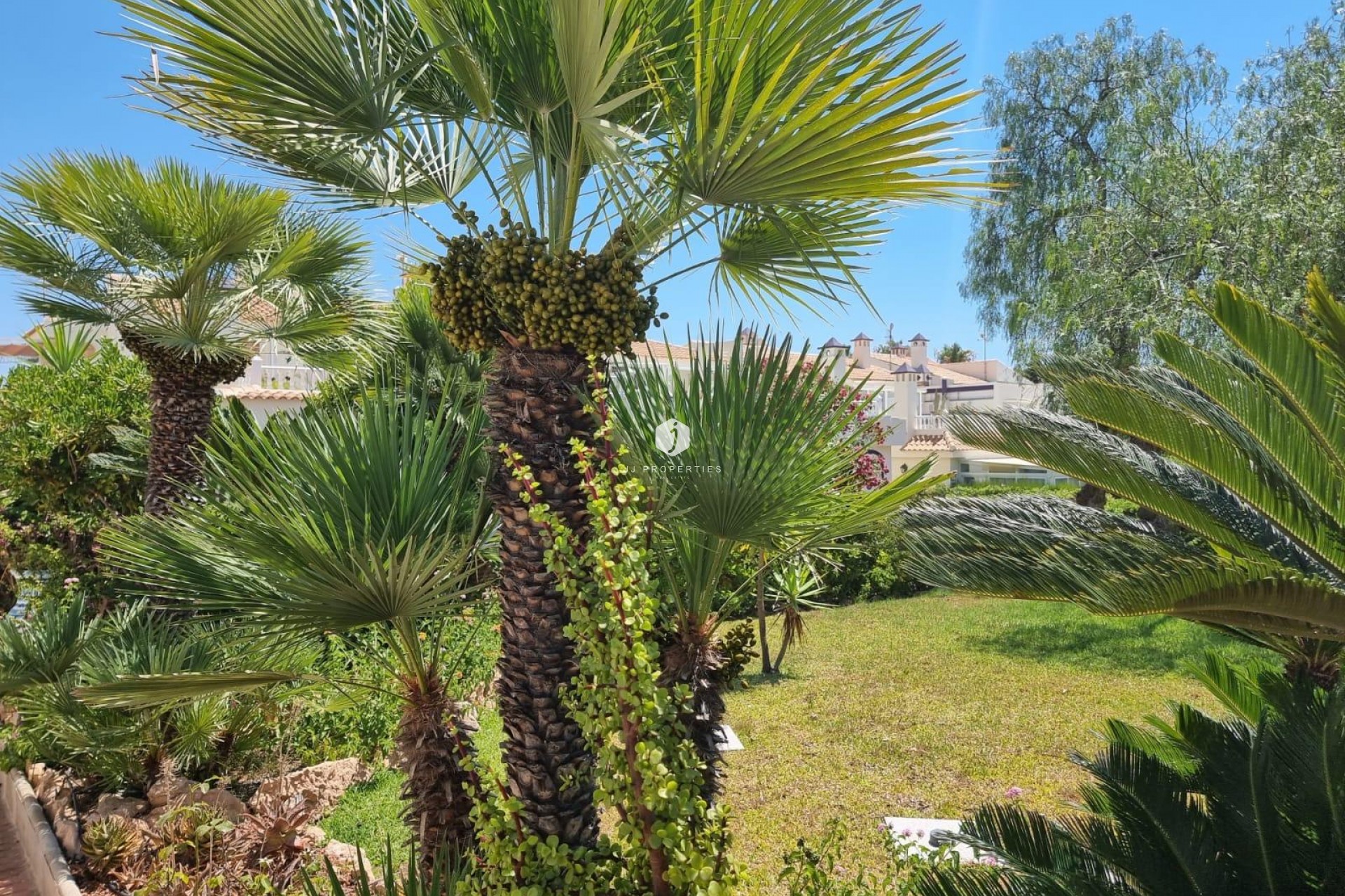 Aus zweiter Hand - Wohnung -
Torrevieja - Los Balcones - Los Altos del Edén