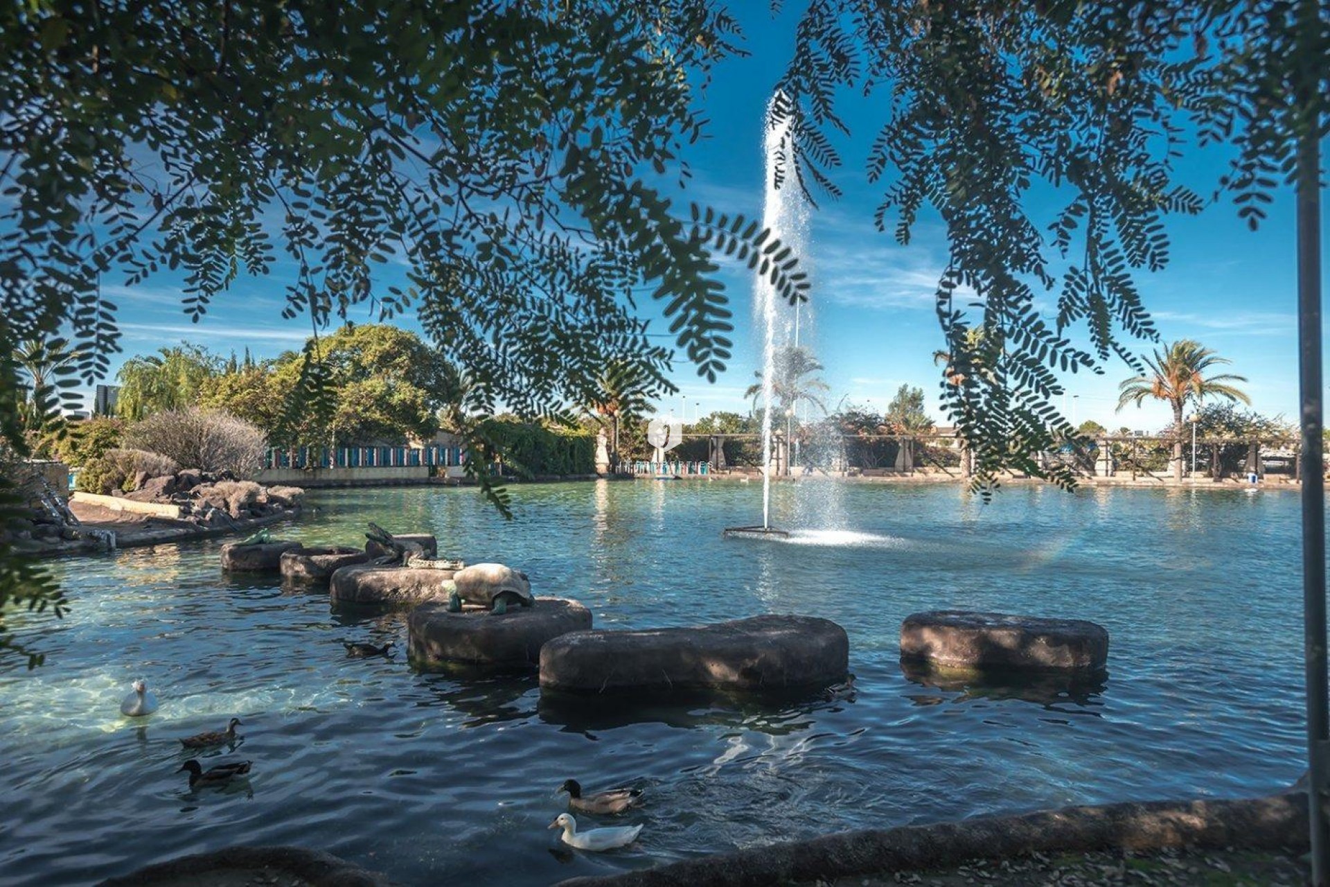 Aus zweiter Hand - Wohnung -
Torrevieja - Parque las naciones