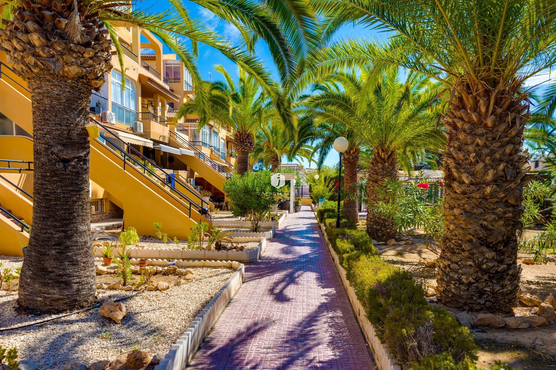 Aus zweiter Hand - Wohnung -
Torrevieja - Torreblanca