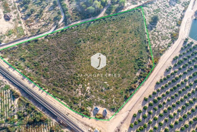 Casa de campo - Segunda mano - Crevillente -
                Crevillente