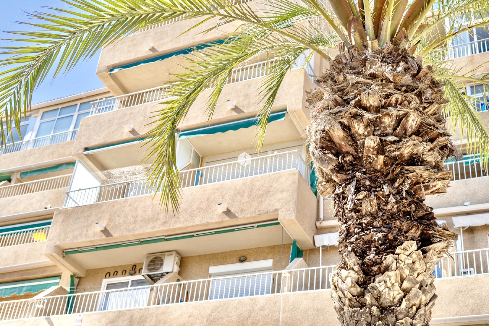 D'occasion - Appartement -
Guardamar del Segura - Costa Blanca