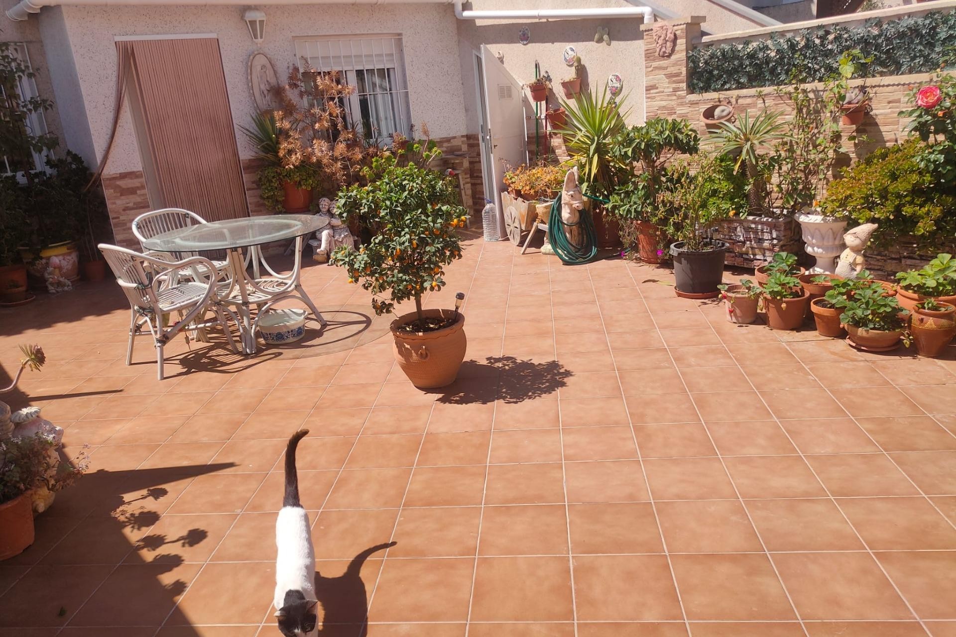 D'occasion - Appartement -
Orihuela Costa - La Regia