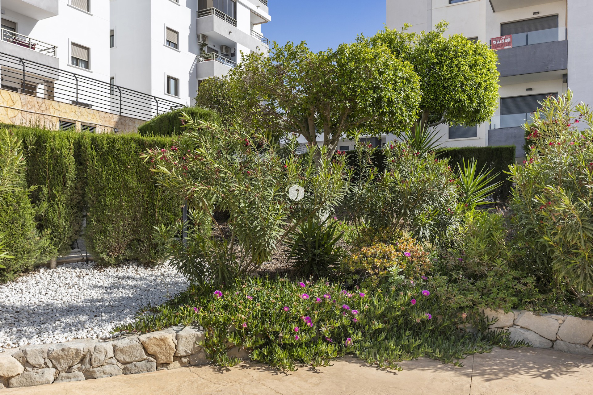 D'occasion - Appartement -
San Miguel de Salinas - Inland