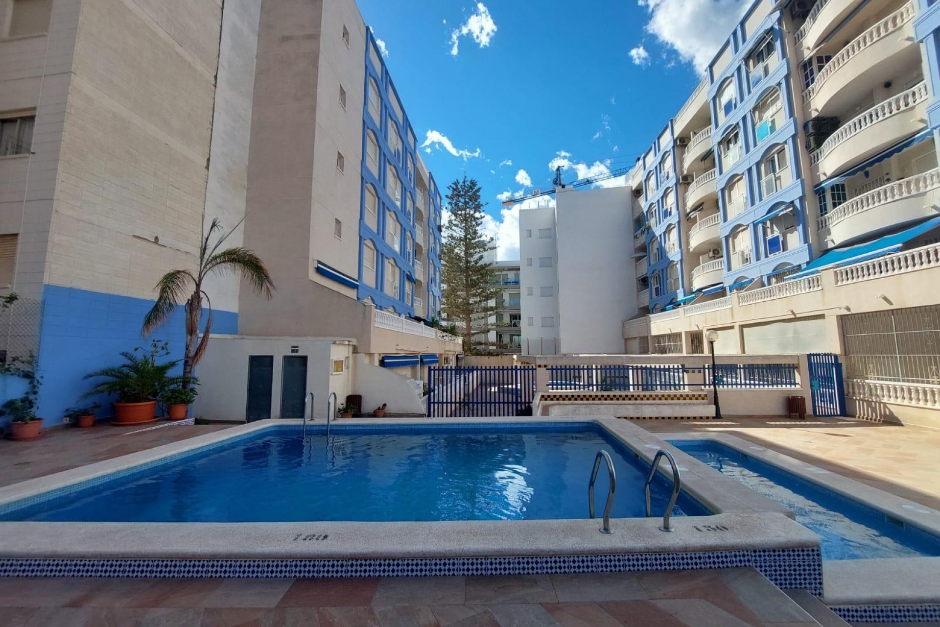 D'occasion - Appartement -
Torrevieja - Costa Blanca