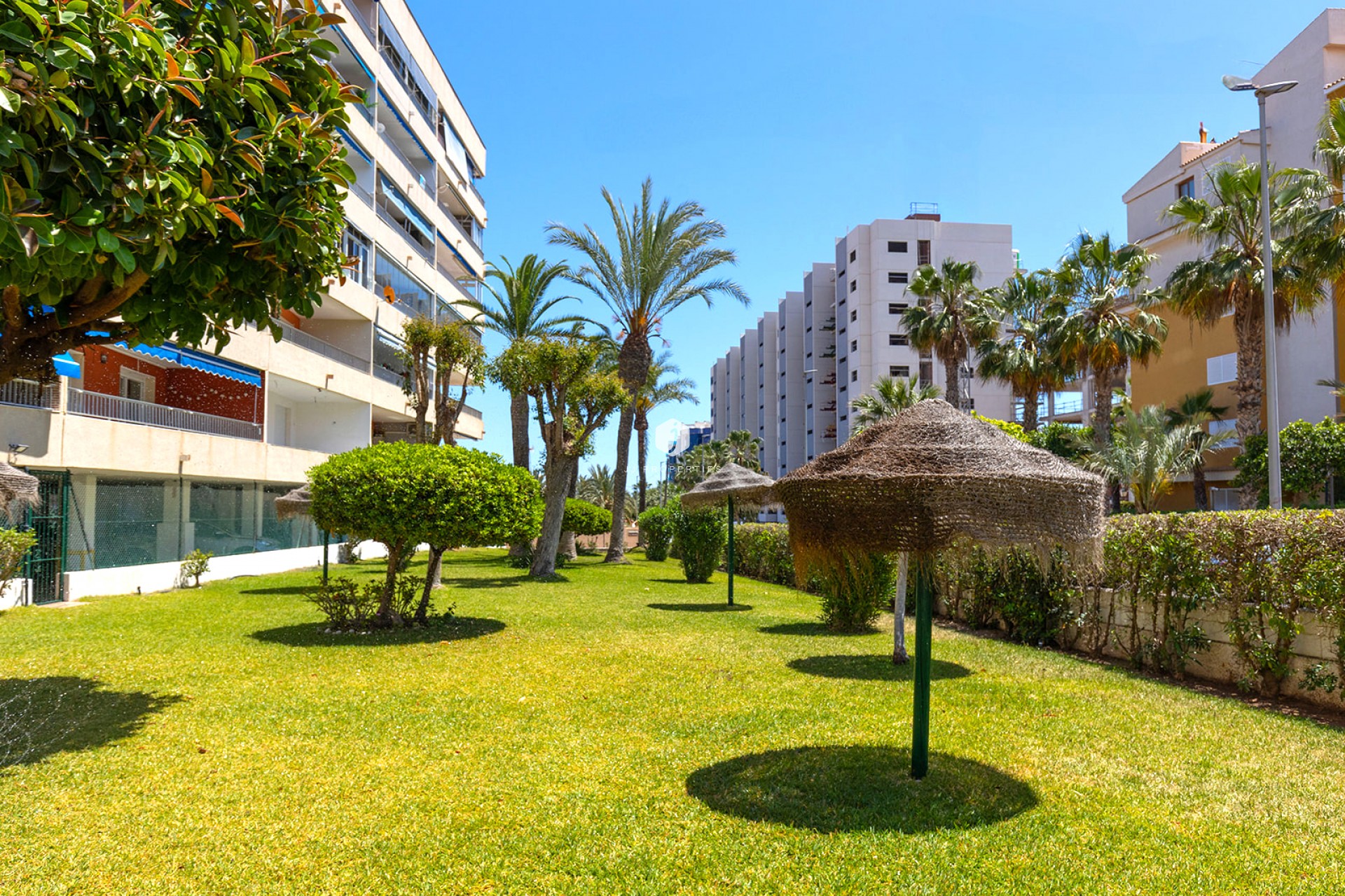 D'occasion - Appartement -
Torrevieja - Costa Blanca