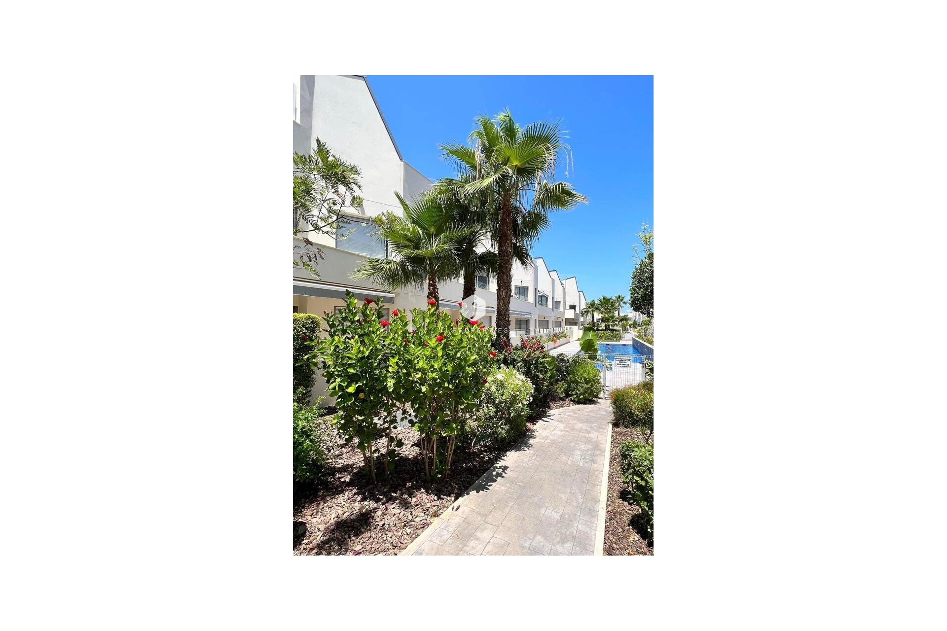 D'occasion - Appartement -
Torrevieja - Costa Blanca