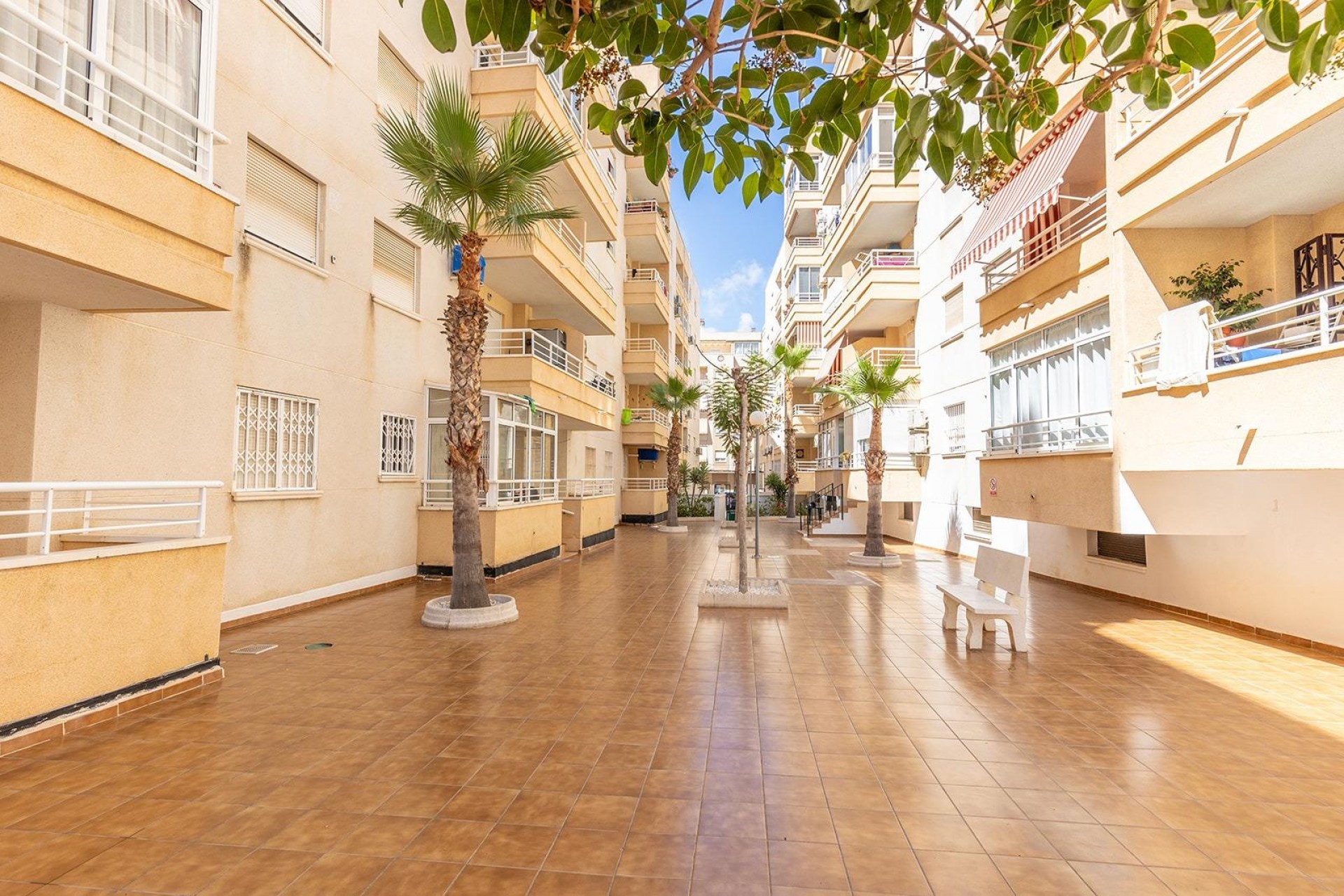 D'occasion - Appartement -
Torrevieja - Estacion de autobuses