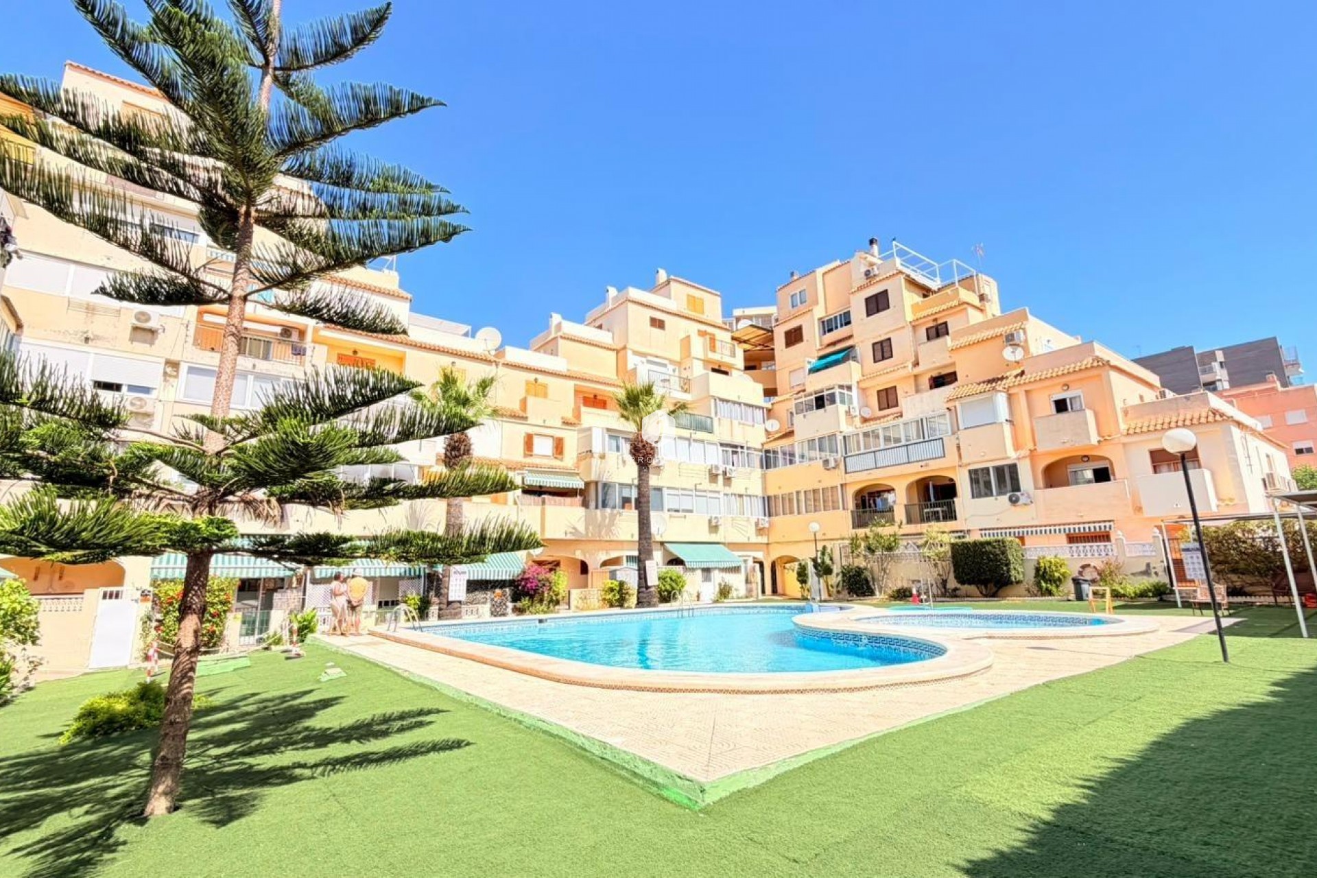 D'occasion - Appartement -
Torrevieja - Nueva Torrevieja