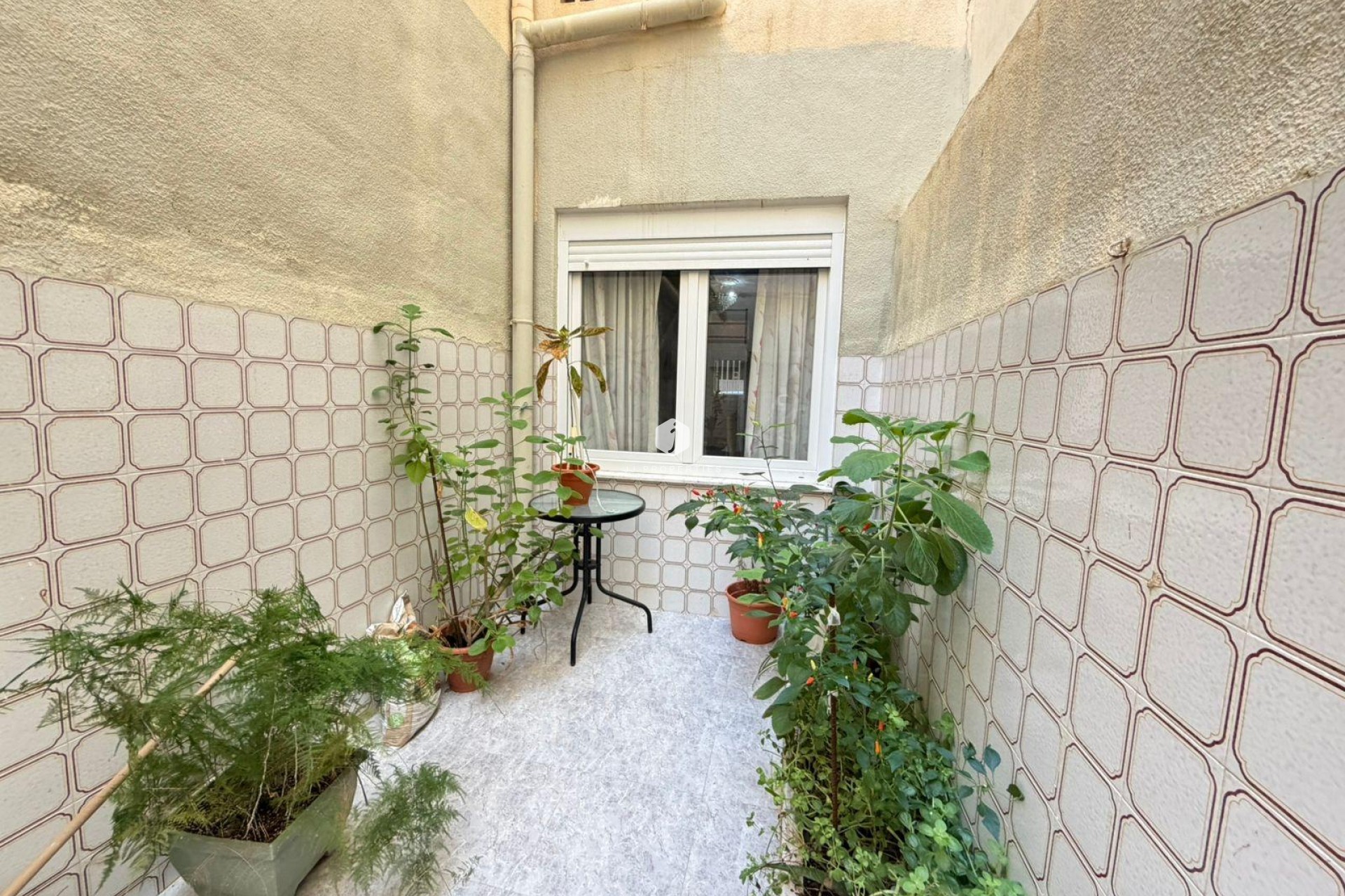 D'occasion - Appartement -
Torrevieja - Playa del Cura