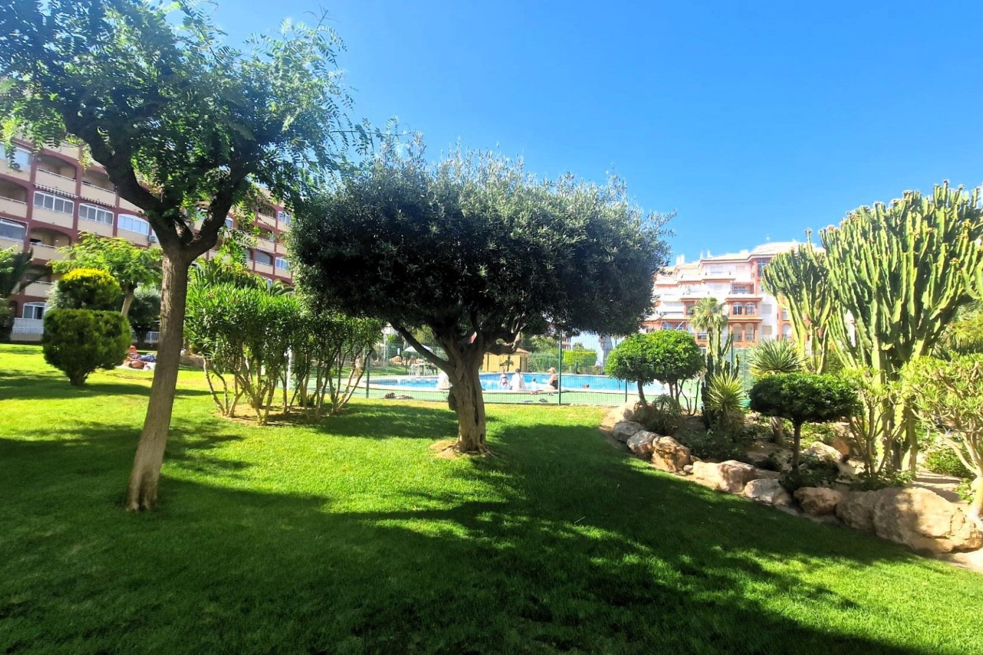 D'occasion - Appartement -
Torrevieja - Torreblanca