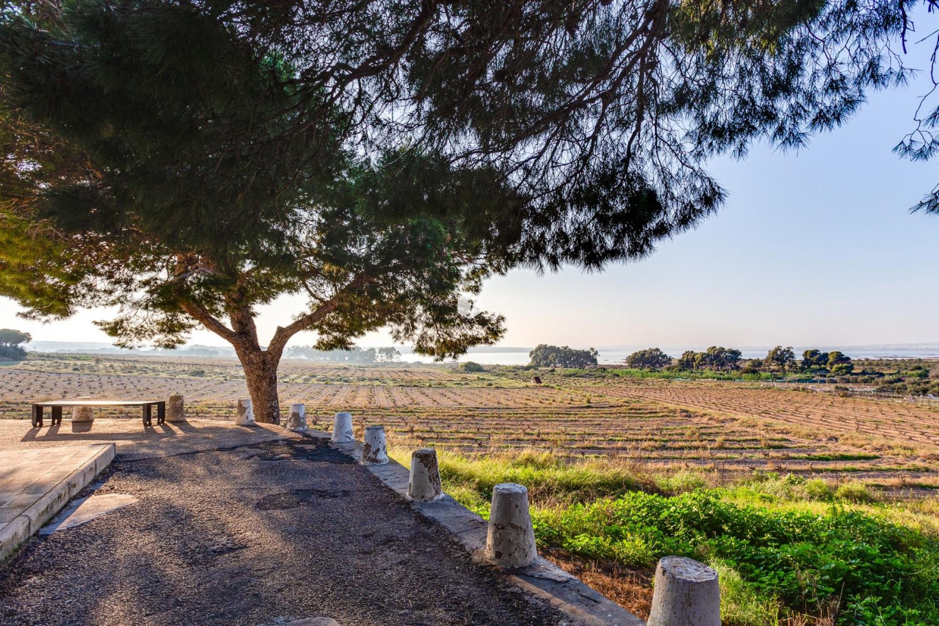 D'occasion - Bungalow -
Torrevieja - La Siesta - El Salado - Torreta