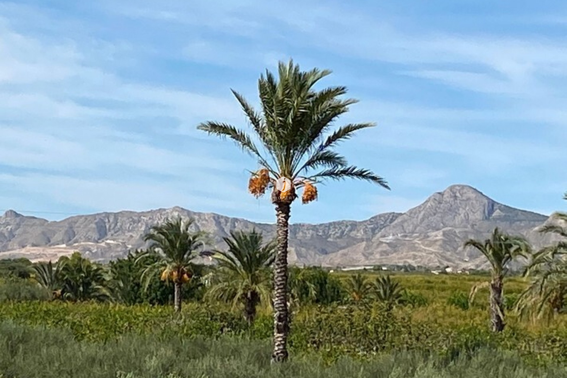 D'occasion - Propriété rurale -
Albatera - Inland