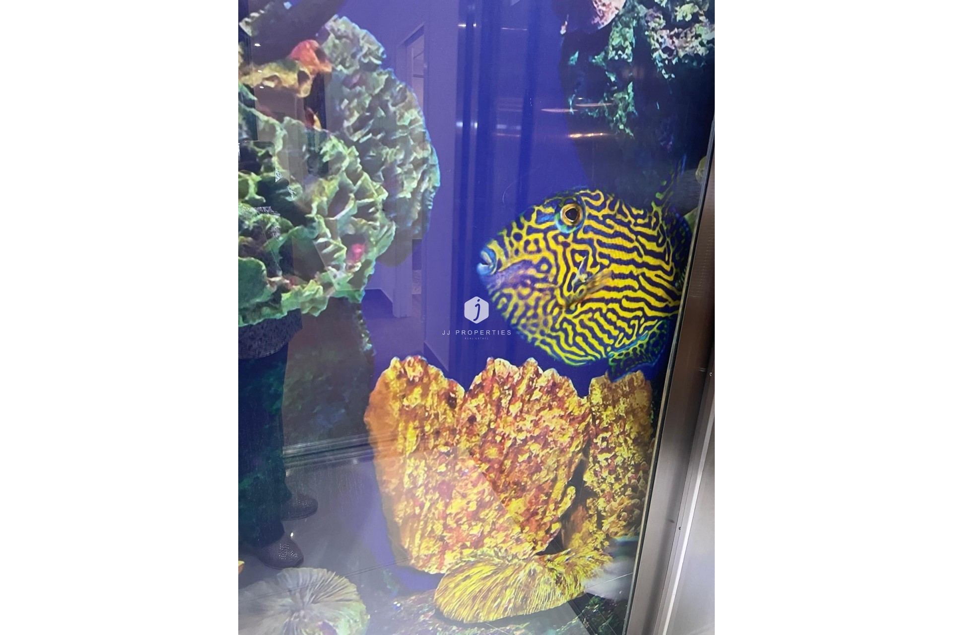 D'occasion - Villa -
San Miguel de Salinas - Altos De San Miguel