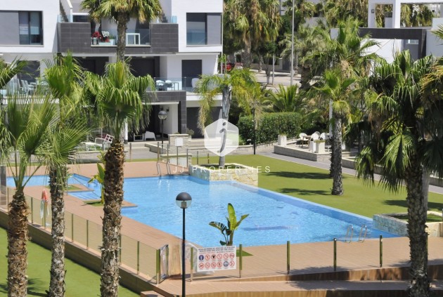 Daszek - Z drugiej ręki - Guardamar del Segura -
                Costa Blanca