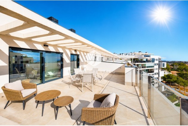 Daszek - Z drugiej ręki - Orihuela Costa -
                Costa Blanca